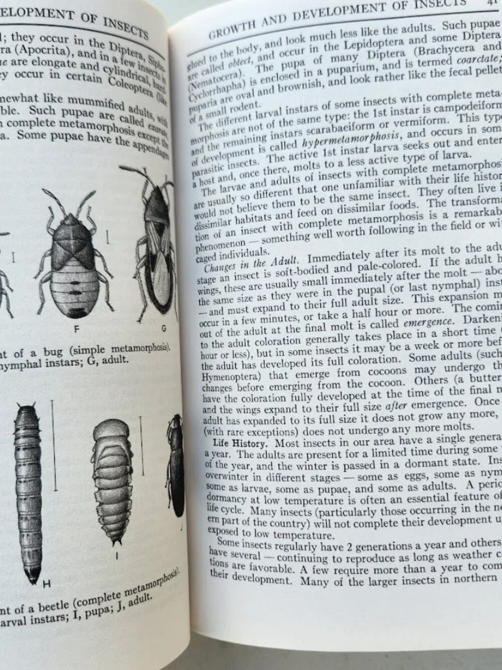 Peterson Field Guide Insects of America North of Mexico Vintage Book Entomology